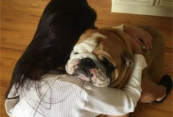 女人与狗性交视频